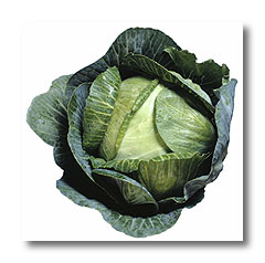 cabbage.jpg