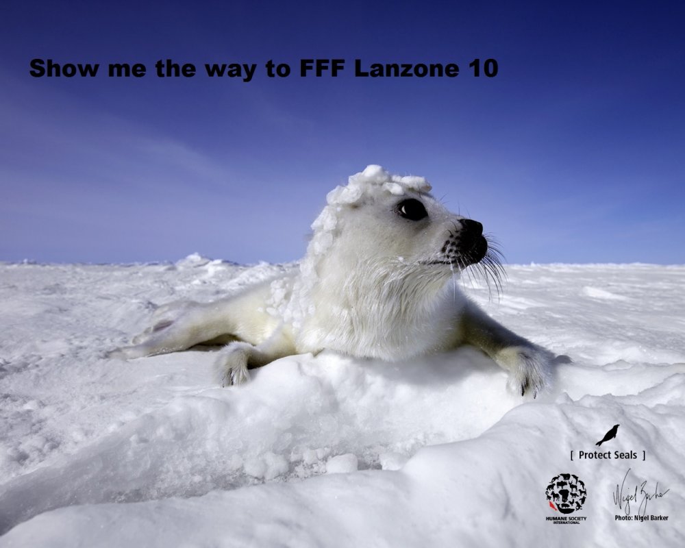 fff test 2.jpg