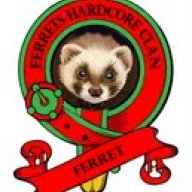 Ferret