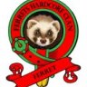 Ferret