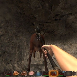 7 Days to Die