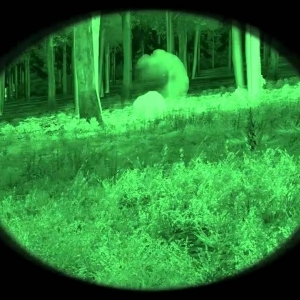 Dayz Scaring People Predator - YouTube
